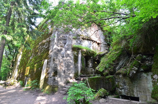 Hitler's Bunker, Wolfsschanze bei Rastenburg (Kętrzyn)