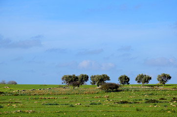 Obraz premium Mediterranean scenery