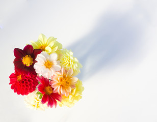 Bouquet of multi-colored dahlia flowers. Blooming summer season