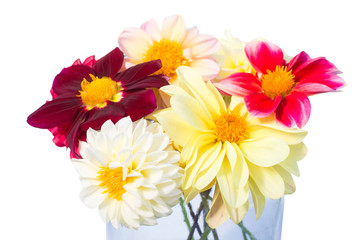 Bouquet of multi-colored dahlia flowers. Blooming summer season