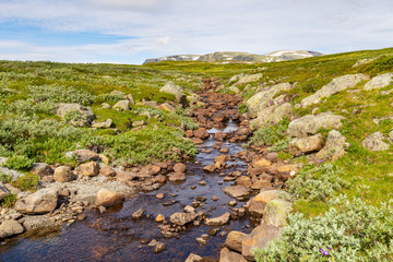 Fototapeta na wymiar Scenic route Havsdalen Prestholt to Prestholtseter underneath Hallingskarvet near Geilo in Norway, Scandinavia