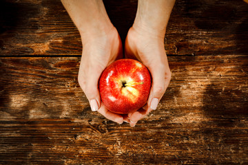 Apples and woman hands. Free space for your decoration. 