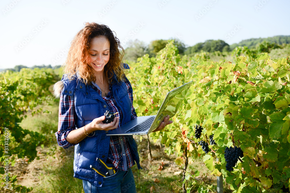 Wall mural cheerful young woman agriculture engineer with a laptop computer in vineyard