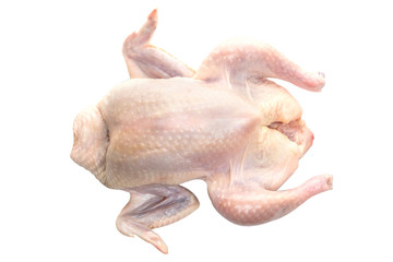 raw fresh chicken for making chicken soup on white background