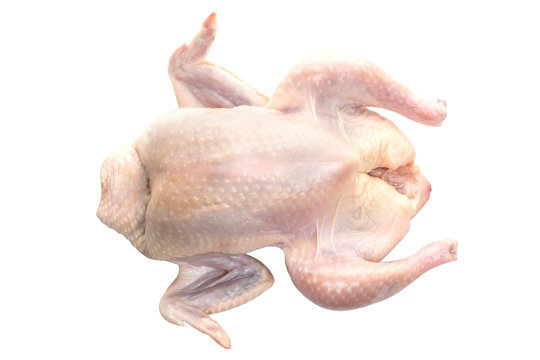 Raw Fresh Chicken For Making Chicken Soup On White Background