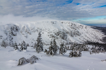 Fototapeta na wymiar Snow-covered trees in the Giant Mountains, Poland