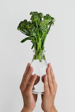broccolini