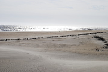 beach in winter