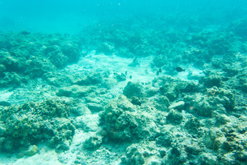 View of beautiful lagoon