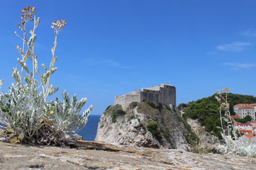 Vacanze nella Città di Dubrovnik - Croazia
