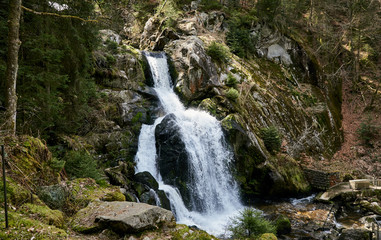 Germany's most popular and highest waterfall - Triberg waterfall and nature in Black Forest 