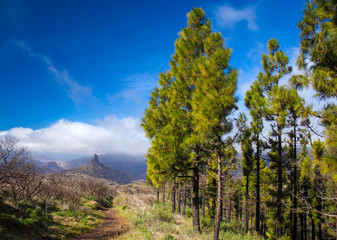 Gran Canaria, December