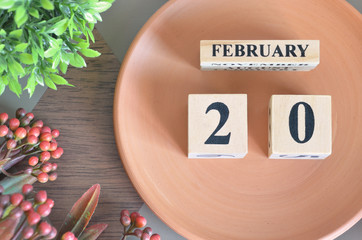 February 20, month design with flower and earthenware.