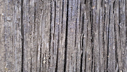  Wood texture. Objects from the boards. Background wood background for design