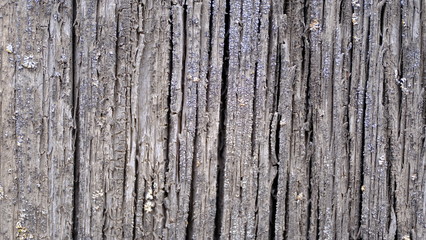  Wood texture. Objects from the boards. Background wood background for design