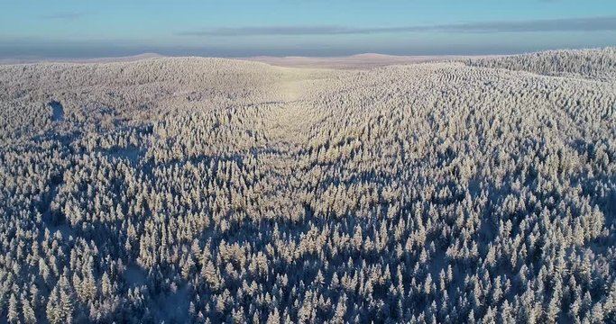 Finnish taiga aka boreal forest and hills as far as eye can see in winter sun in Lapland, Finland