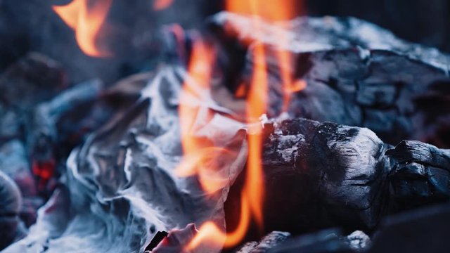 Burning paper. Bonfire. Burning logs in orange flames. Slow motion