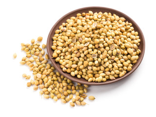 Spice coriander (Coriandrum sativum) seeds in clay plate isolated on white background. Indian cuisine, ayurveda, naturopathy concept