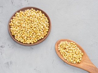 Spice coriander (Coriandrum sativum) seeds in clay plate and wooden spoon on gray concrete background. Diet and weight loss concept
