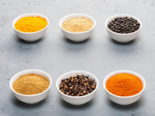 Spice dry ginger, black pepper, masala, turmeric, cloves, red chili in white bowls on gray concrete background