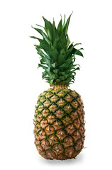Close up. Ripe pineapple isolated on a white background.