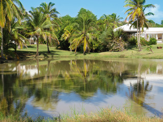 Fototapeta na wymiar Tropical park with palm trees reflected in waters of a lake. White Caribbean houses and blue sky.