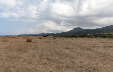 View of Northern Cyprus. The nature of the Mediterranean. A round bale of straw for animal feed. Forage for livestock. Cyprus island panorama