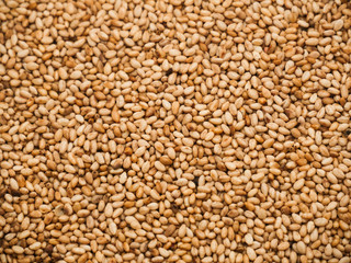 Many of Toasted sesame seeds top view of background