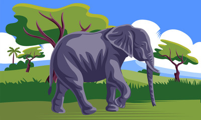 Fototapeta premium elephant walking in jungle vector