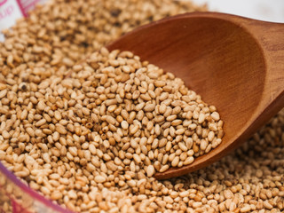 Fototapeta premium Toasted sesame seed on wood spoon 