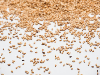 Sesame seeds isolated on a white background