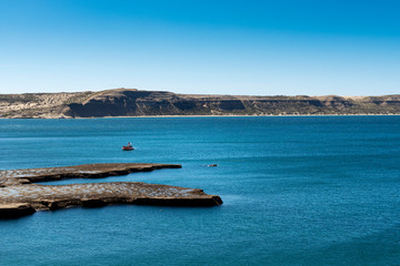 Boats with tourists watching South Right Whales at the Valdes Peninsula in Argentina.