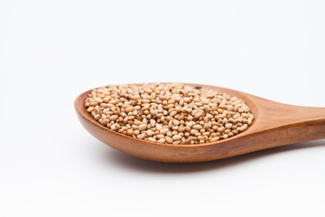 Toasted Sesame seeds in wooden spoon on white 