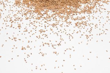 Sesame seeds isolated on white background 