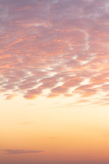 pink sky with feather clouds