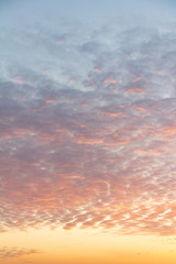 Naklejka na ściany i meble pink sky with feather clouds