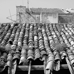 Roof clay tiles on old residential homes in Sciacca, Sicily, Italy. 09/01/2019. - obrazy, fototapety, plakaty