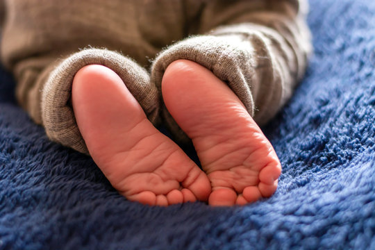 Newborn tiny baby feet from behind