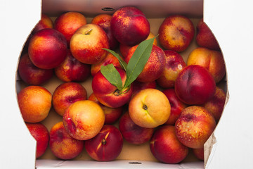 Farm Fresh Organic Heavenly Peaches in a box