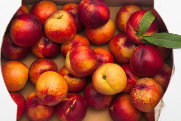 Farm Fresh Organic Heavenly Peaches in a box