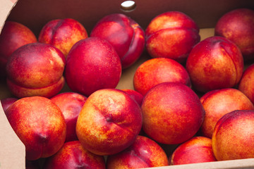 Farm Fresh Organic Heavenly Peaches in a box