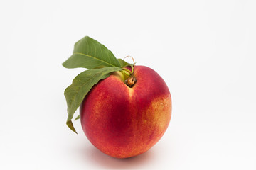 A single of ripe peach