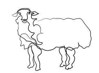 Simple line art drawing of cute sheep. One continuous line drawing of sheep.