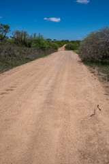 Kruger Park South Africa