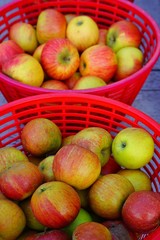 Baskets of fresh apples at a farmers market