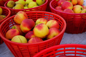Baskets of fresh apples at a farmers market