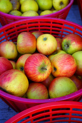 Baskets of fresh apples at a farmers market