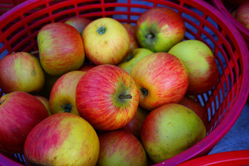 Baskets of fresh apples at a farmers market
