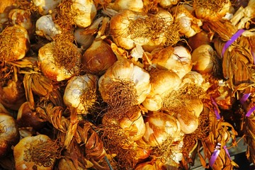 Dried heads of smoked garlic at a French farmers market