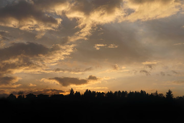 sunset over the field